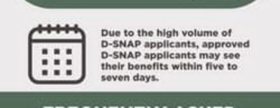 Applications for D-SNAP Program Accepted through Saturday